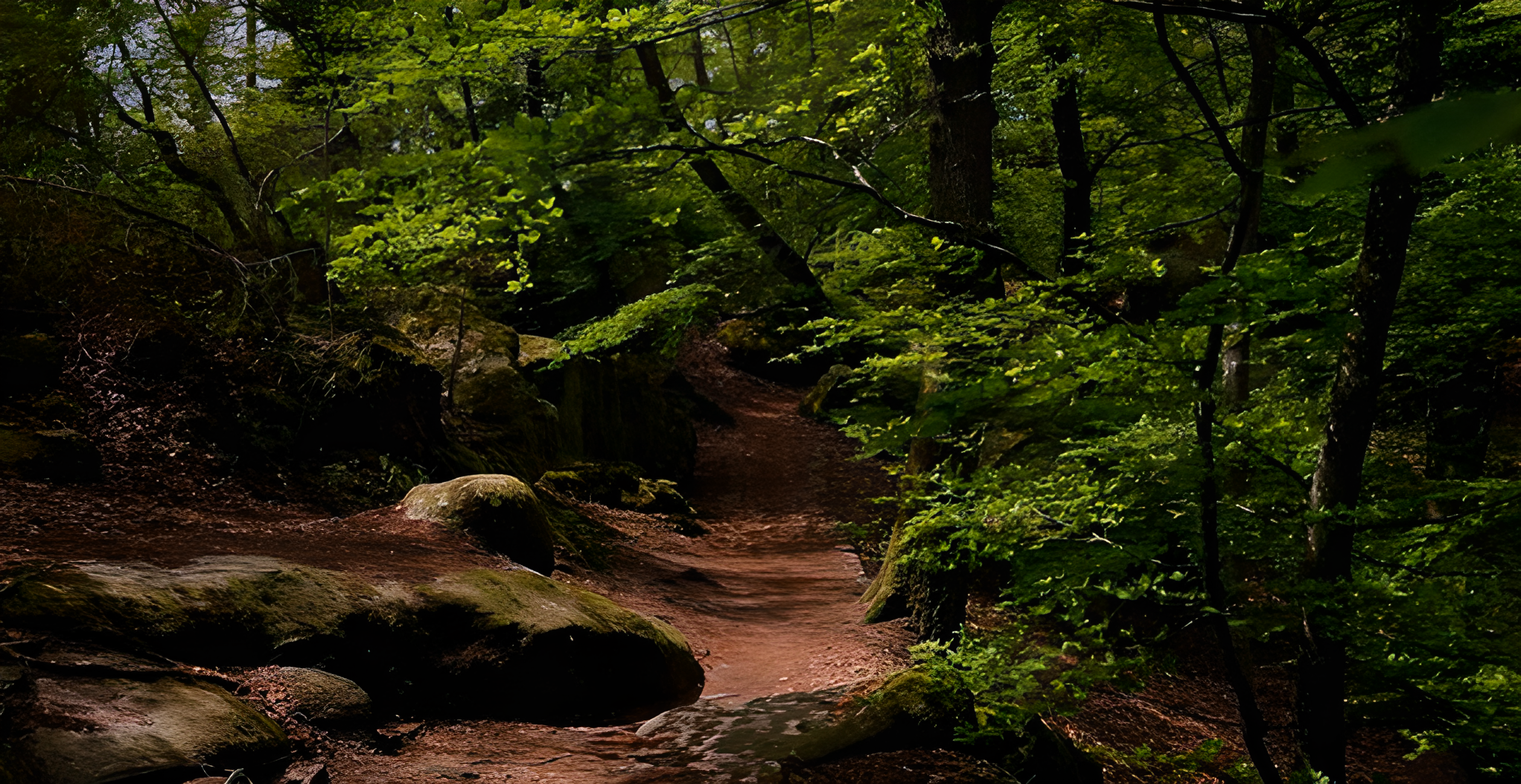 Les nuits des forêts, événement avec Carnuta, la maison de l'Homme et de la forêt