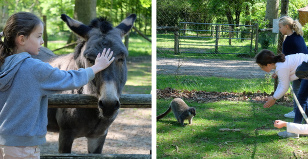 Visite du Domaine de Pescheray, un zoo pour toute la famille près du Mans