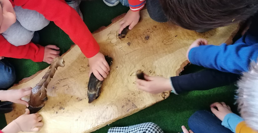 "Qui mange qui ?", atelier enfant à Carnuta, la Maison de l'Homme et de la forêt