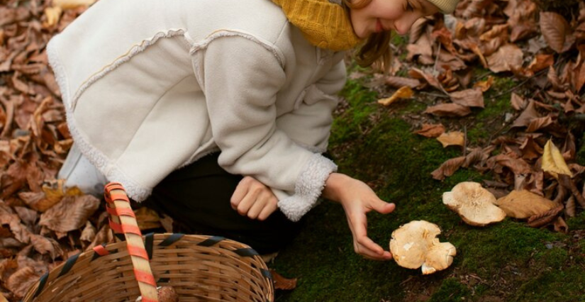 "À la cueillette des champignons", balade ONF à Carnuta, la Maison de l'Homme et de la forêt