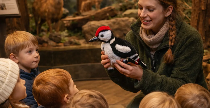 Animation "Musée des tout petits 2-4 ans" à Carnuta, la Maison de l'Homme et de la forêt