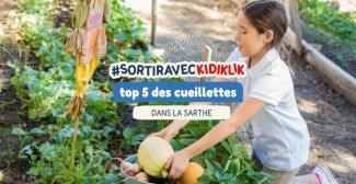 Notre TOP 5 des cueillettes en Sarthe pour une sortie nature en famille