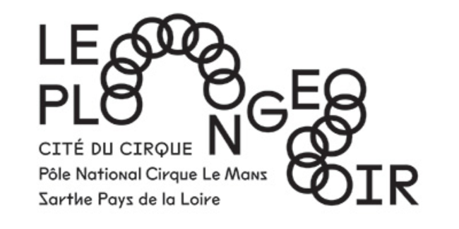 Stage Aériens : sangles, corde, tissu  Le Plongeoir, Pôle national Cirque  Le Mans