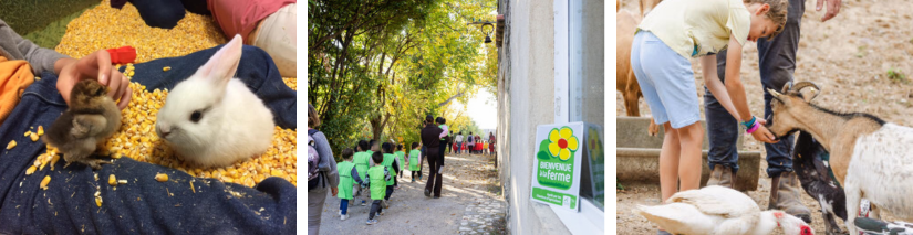 Bienvenue à la ferme 72