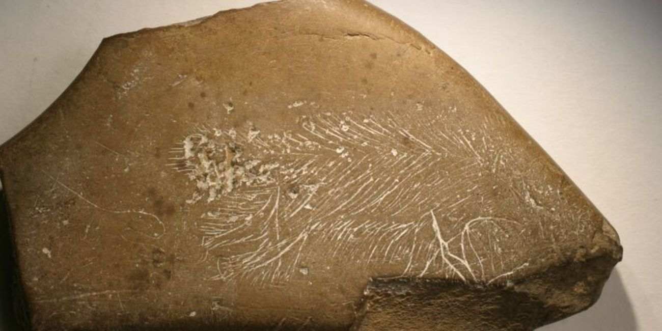 Mythique préhistoire, visite guidée au Musée Jean-Claude-Boulard, le Mans