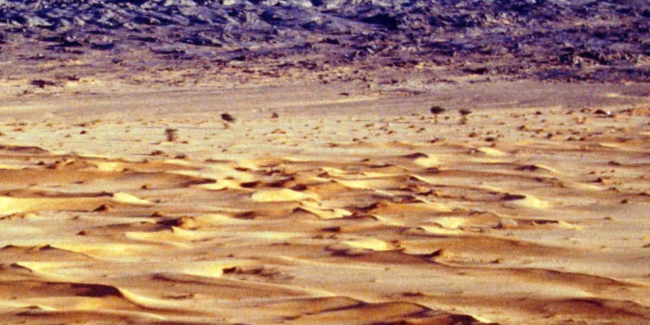Un grain de sable, musique contemporaine aux Quinconces