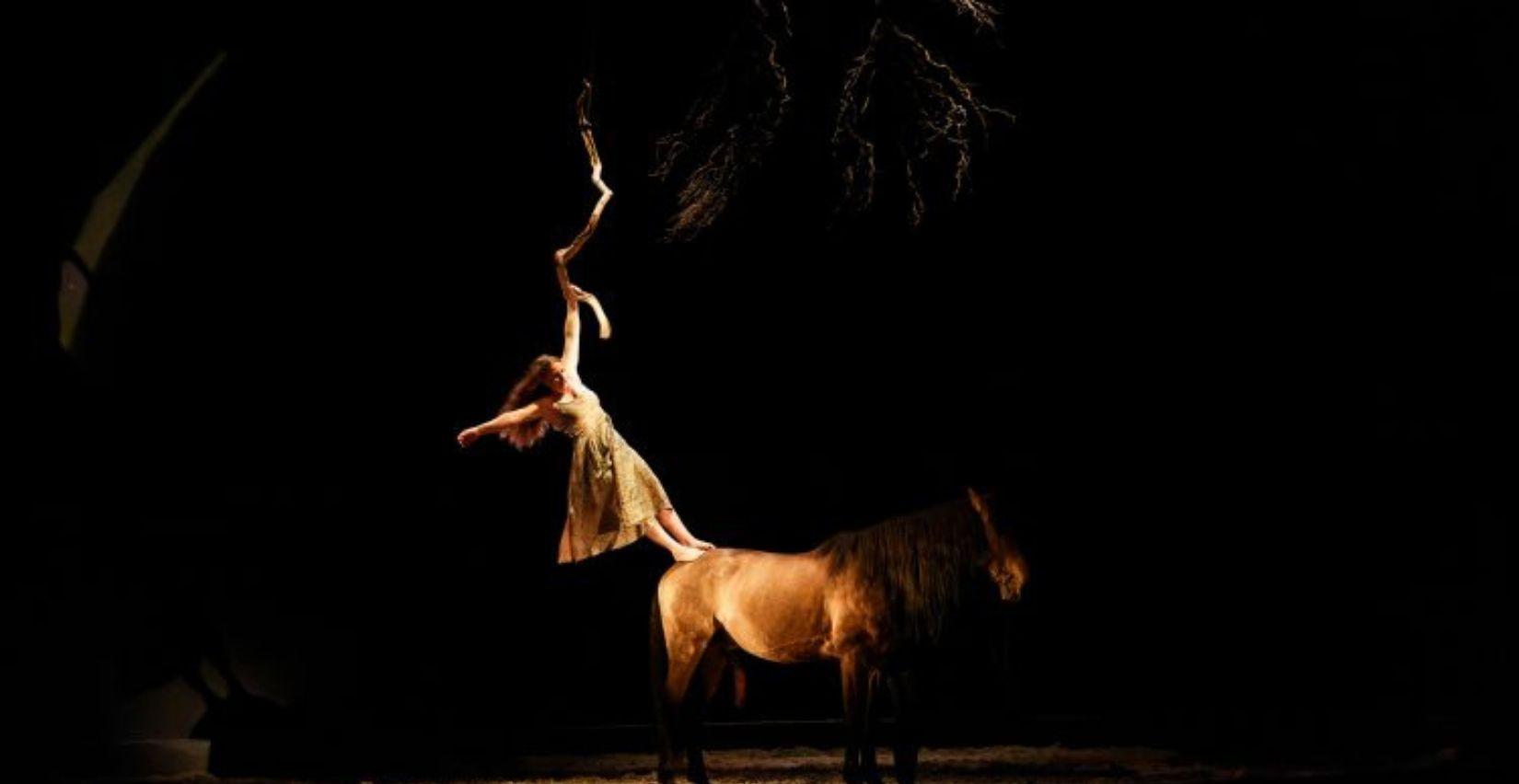 "Métamorphoses ", cirque équestre au Plongeoir Pôle national Cirque, Le Mans