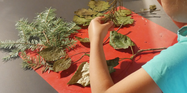 "De l'arbre à la construction", atelier enfant au Manoir de la Cour, à Asnières-sur-Vègre