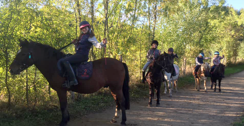 Stage de poney au Poney Club de Allonnes Equitation 