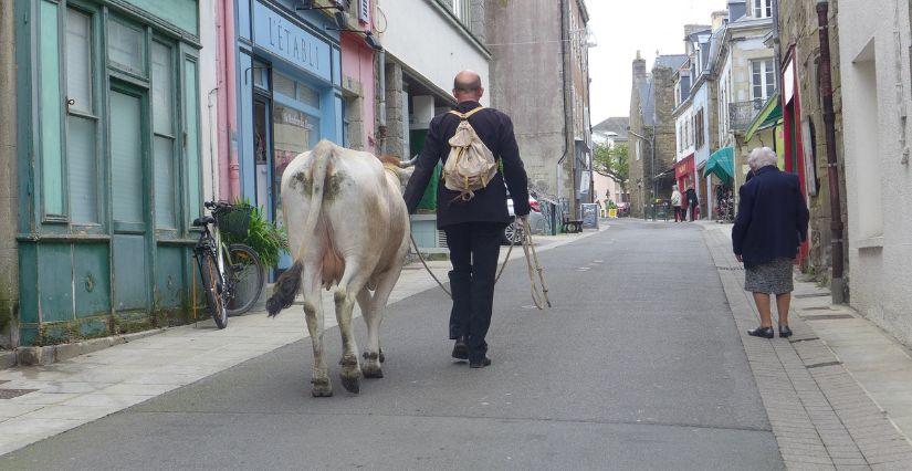 "Macadam vacher, l'heure de la traite !", spectacle dans les rues, avec L'Espal au Mans // VIVANTS! VIVANTES!