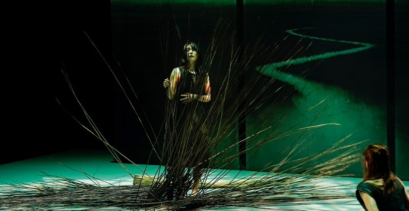 "Ronces", spectacle de danse à l'Entracte à Sablé-sur-Sarthe