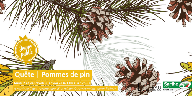 En quête de pommes de pin à l'Abbaye Royale de l'Épau