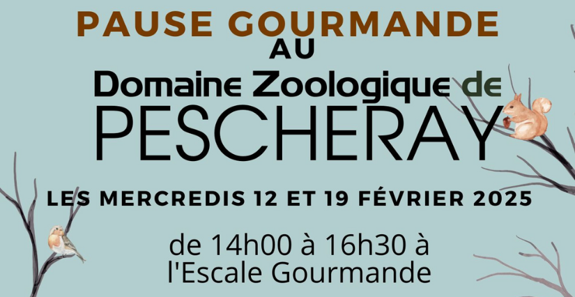 Pause gourmande au Domaine Zoologique de Pescheray au Mans