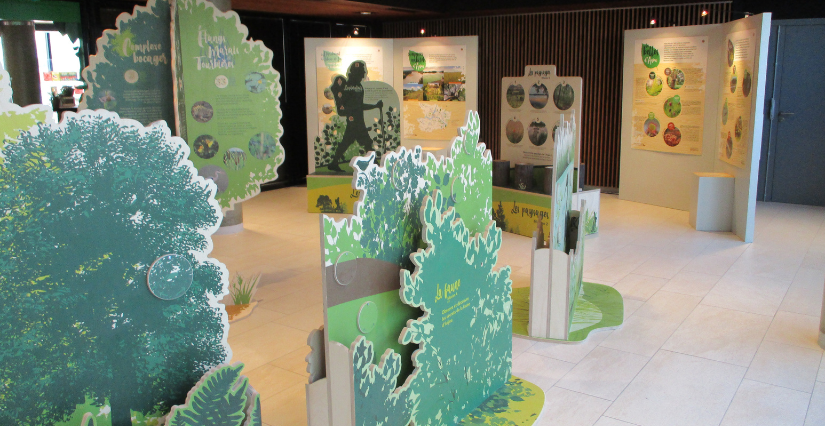 "Force de la Nature", exposition à Carnuta, Maison de l'Homme et de la forêt