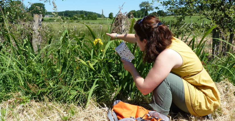 "Le bocage, refuge de biodiversité", balade nature à Carnuta, Maison de l'Homme et de la forêt