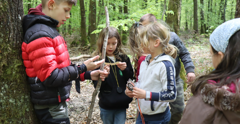 "Les défis de Majalis", stage nature à Carnuta, la Maison de l'Homme et de la forêt