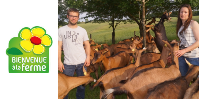 Le Réseau Bienvenue à la ferme dans la Sarthe : visitez des fermes en famille !