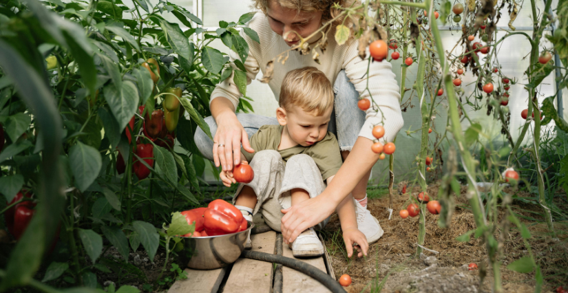 Notre TOP 5 des cueillettes en Sarthe pour une sortie nature en famille