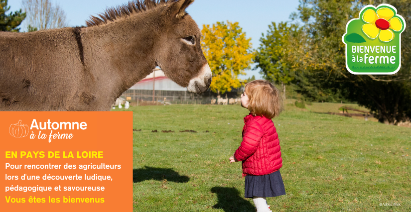 "Automne à la Ferme", avec Bienvenue à la Ferme en Sarthe