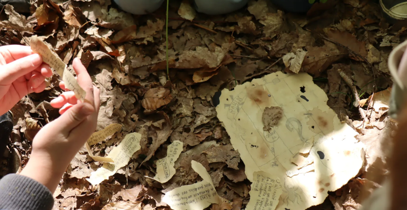Stage nature "La disparition du Dr Cambium" à Carnuta, Maison de la l'Homme et de la forêt