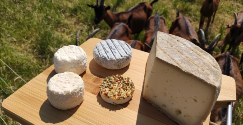 Chasse aux oeufs à la Chèvrerie des Huppes à Cherré-Au, dans le cadre du Printemps à la ferme
