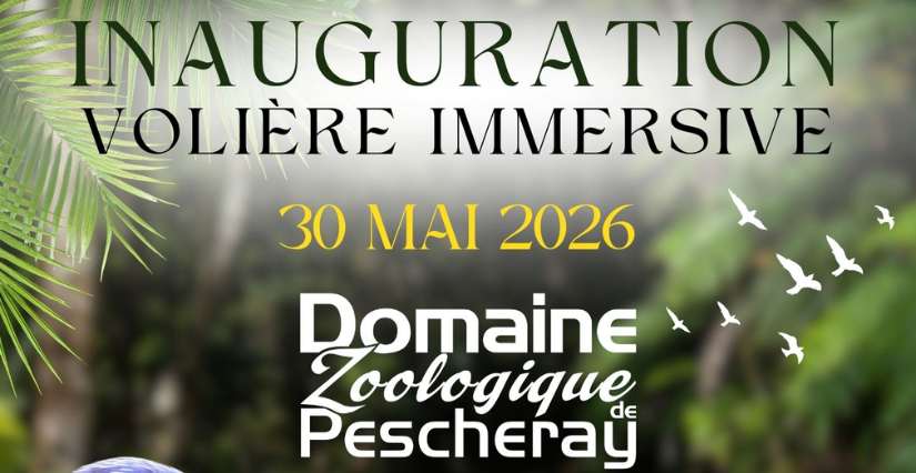 Inauguration de la nouvelle volière immersive au Domaine de Pescheray !