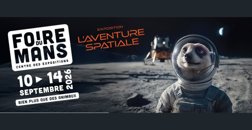 La Foire du Mans, 5 jours de Festivités