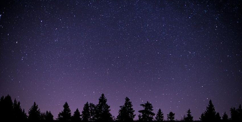 "Nuit des étoiles", observations et animations à l'Arche de la Nature au Mans