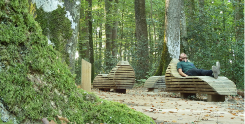 Découvrez les sentiers de balade de la forêt de Bercé en famille