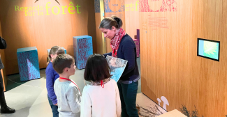 Carnuta : une expérience sensorielle en famille au cœur de la forêt de Bercé